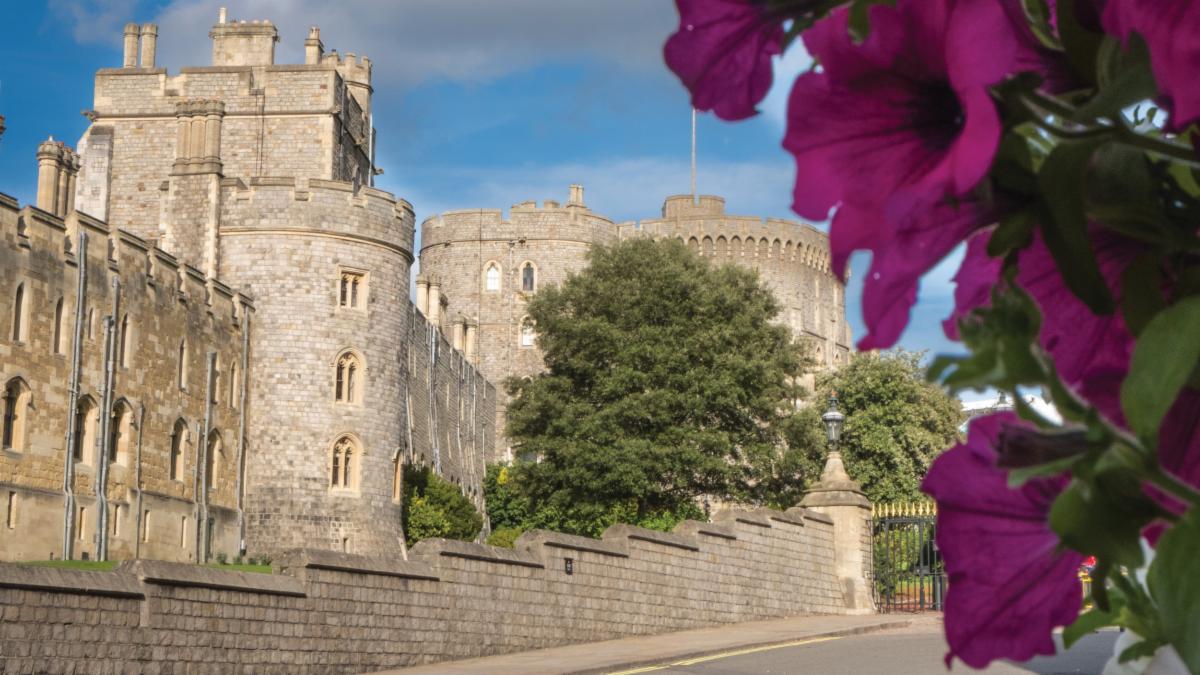 Bright image of Windsor Castle from view point next to purple flowers