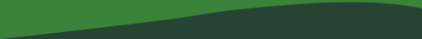 green curve