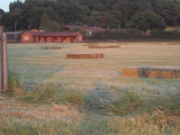 23.09.2010 - Barbara Frame - This year's hay