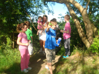 June 2010 - Alison Brayshaw - OGAFCA family ramble - children learn how dock leaves help nettle stings !